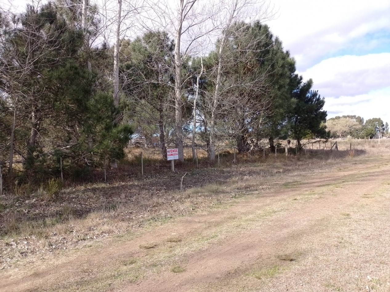 FRACCION DE 8000M2 CON FORESTACION