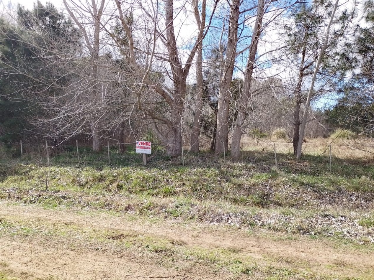 FRACCION DE 8000M2 CON FORESTACION