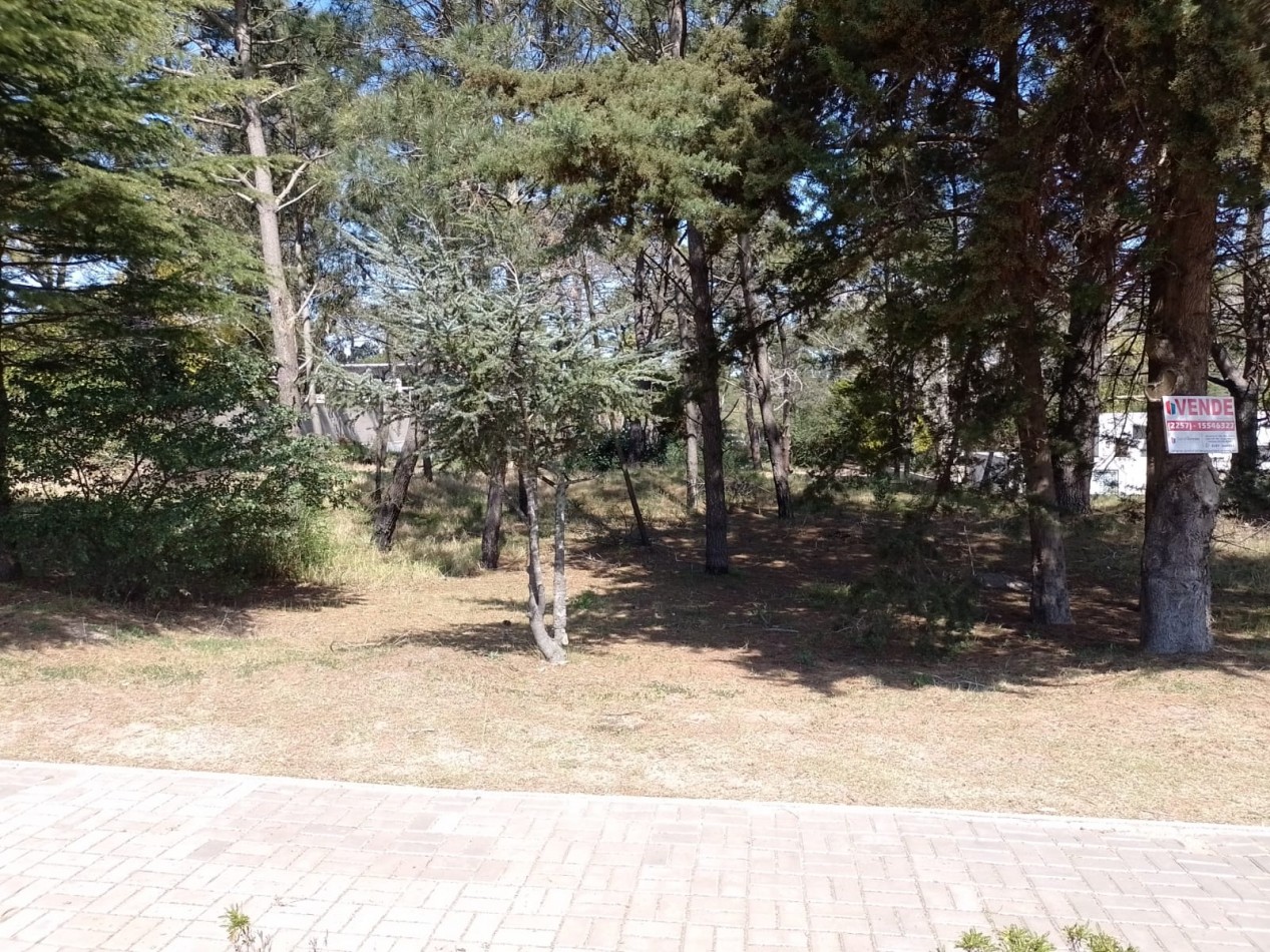LOTE EN ACCESO A VILLA GESELL
