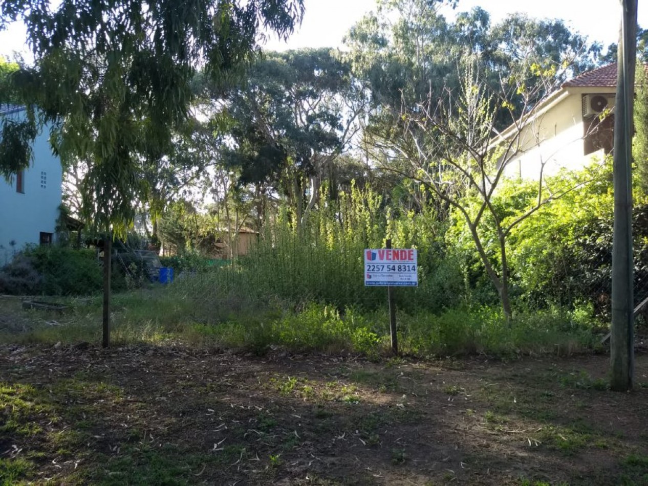 VENTA SANTA TERESITA, REGIO LOTE 15 X 30 EN EL MONTE