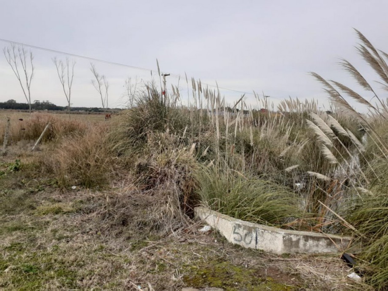 EXCELENTE FRACCION DE APROX 62.000 M2 SOBRE RUTA 11