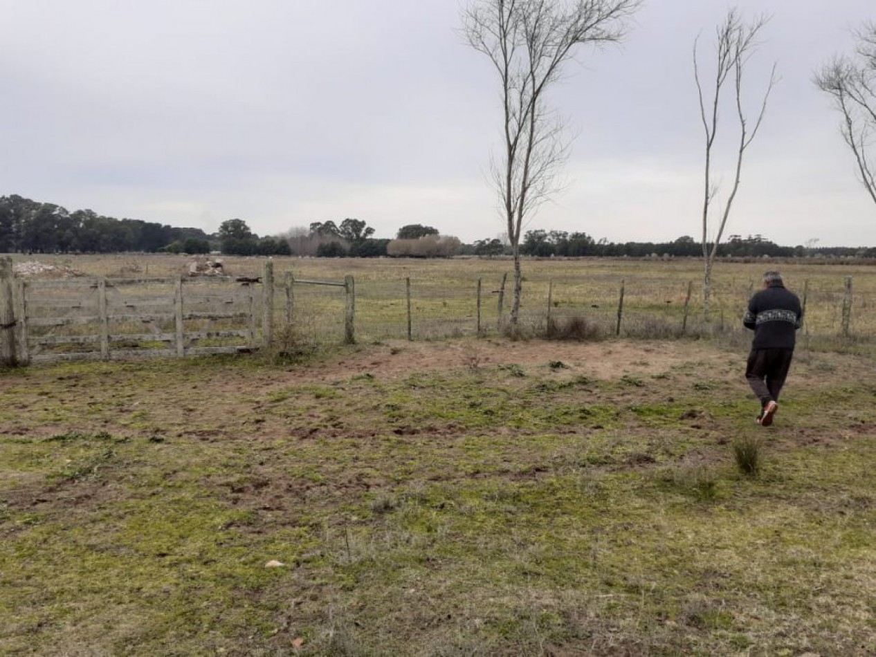 EXCELENTE FRACCION DE APROX 62.000 M2 SOBRE RUTA 11