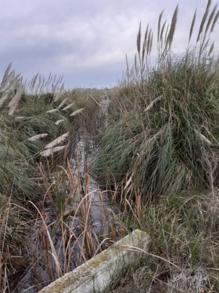 EXCELENTE FRACCION DE APROX 62.000 M2 SOBRE RUTA 11