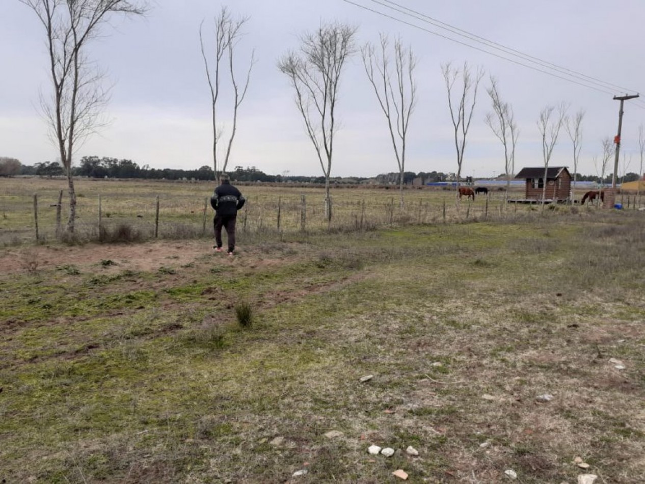 EXCELENTE FRACCION DE APROX 62.000 M2 SOBRE RUTA 11