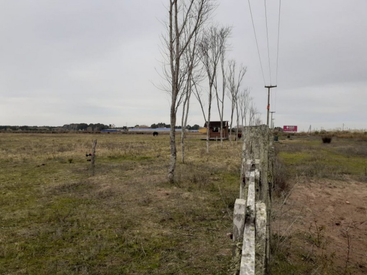 EXCELENTE FRACCION DE APROX 62.000 M2 SOBRE RUTA 11