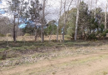 FRACCION DE 8000M2 CON FORESTACION